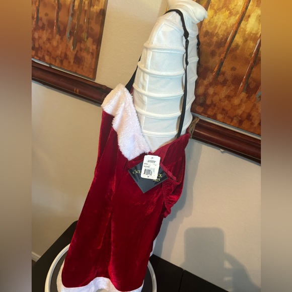 Christmas teddy with bottoms hubba hubba ms claus🎄🤶 - Picture 7 of 15